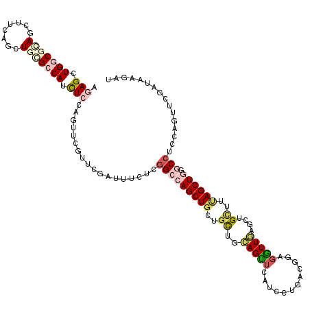 secondary structure