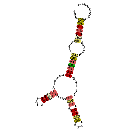secondary structure