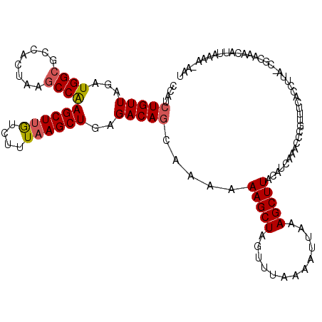 secondary structure