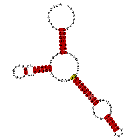 secondary structure