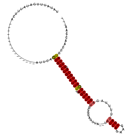 secondary structure