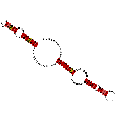 secondary structure