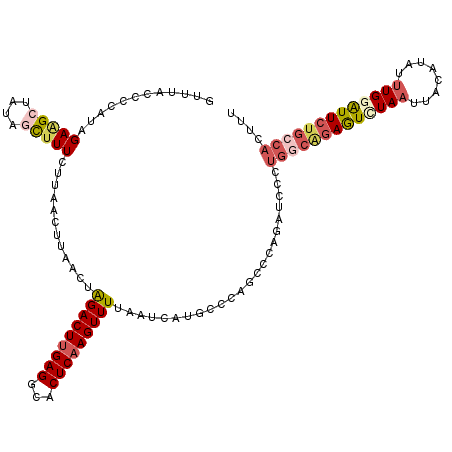 secondary structure