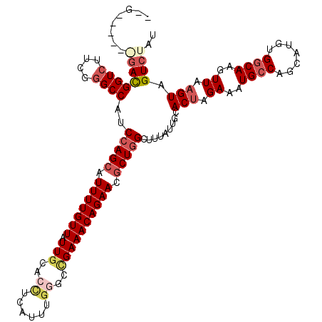secondary structure