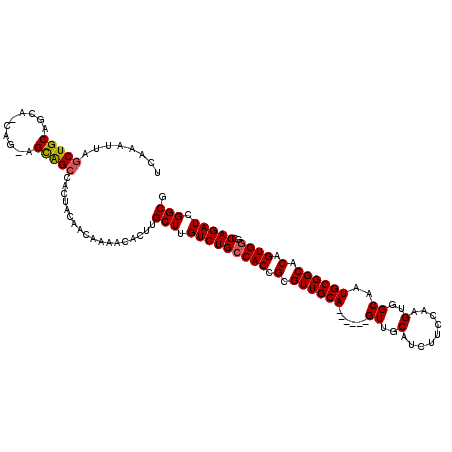 secondary structure