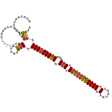 secondary structure