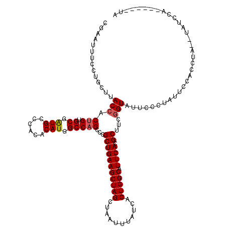 secondary structure
