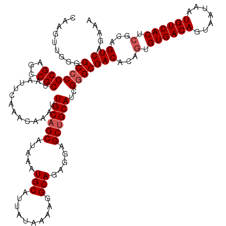 secondary structure