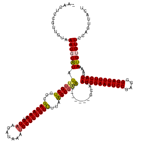 secondary structure