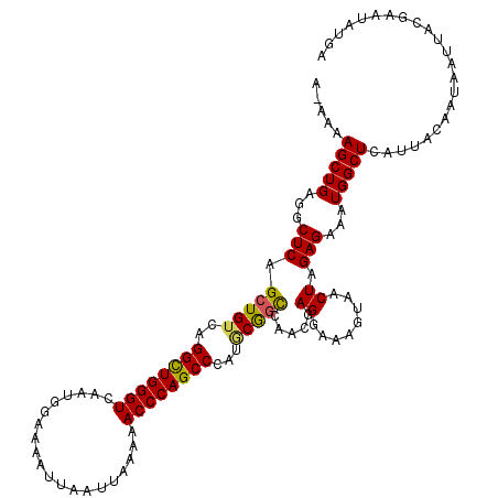 secondary structure