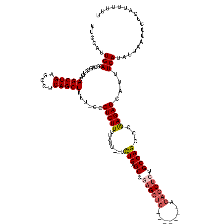 secondary structure