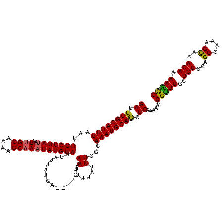 secondary structure