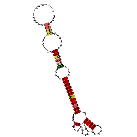 secondary structure