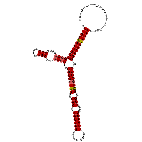 secondary structure