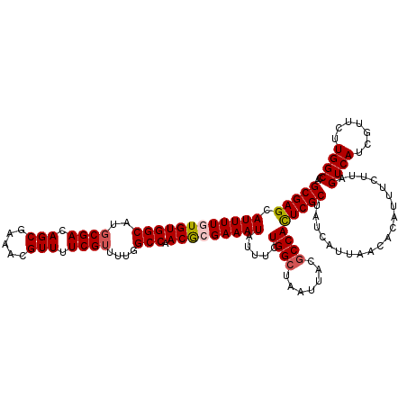 secondary structure