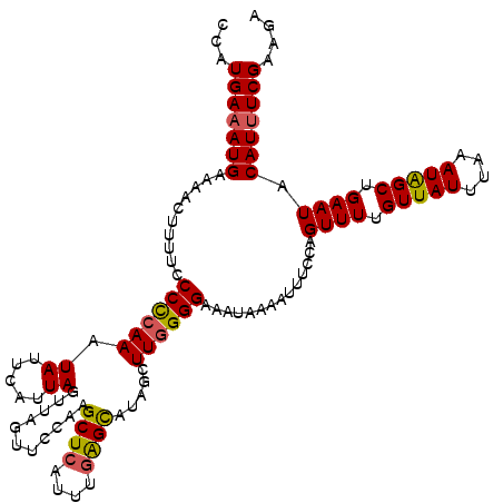 secondary structure