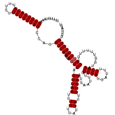 secondary structure