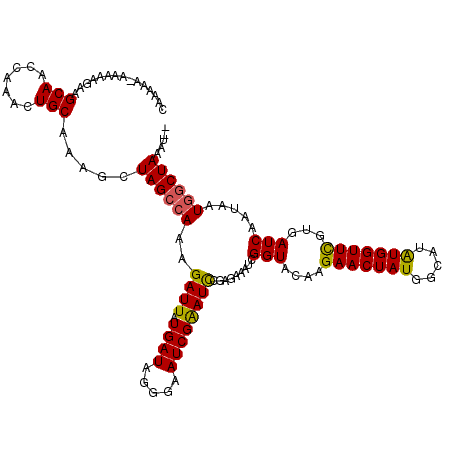 secondary structure