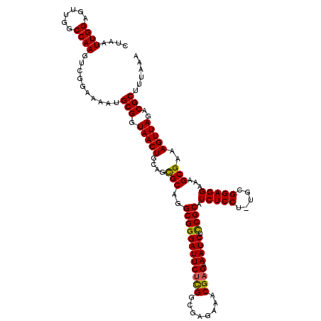 secondary structure