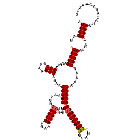 secondary structure