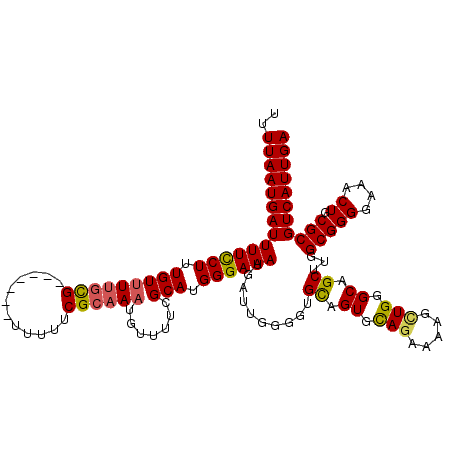 secondary structure