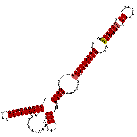 secondary structure