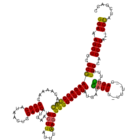 secondary structure