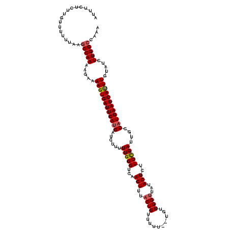 secondary structure