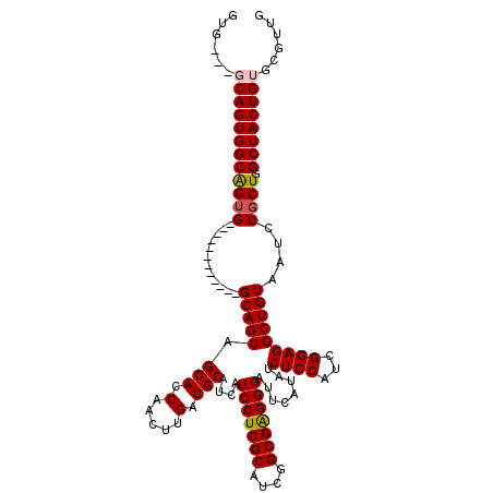 secondary structure