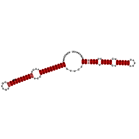 secondary structure