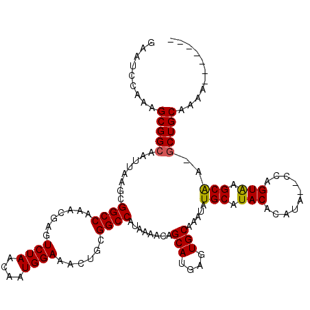 secondary structure