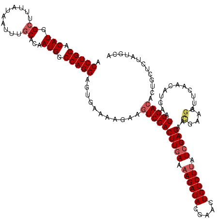 secondary structure
