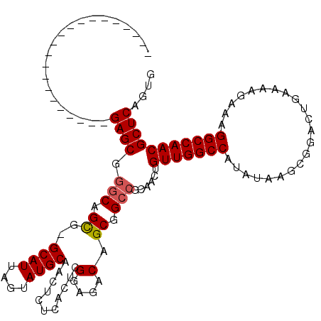 secondary structure