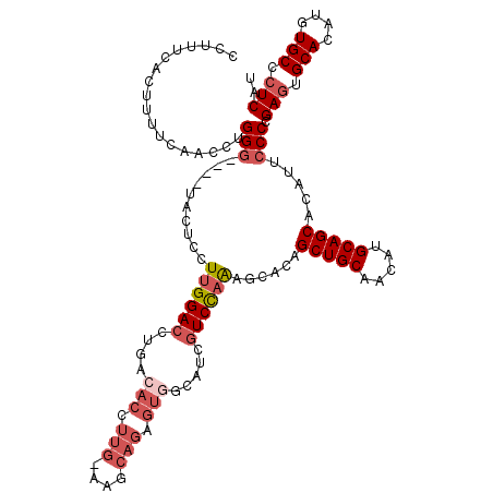 secondary structure