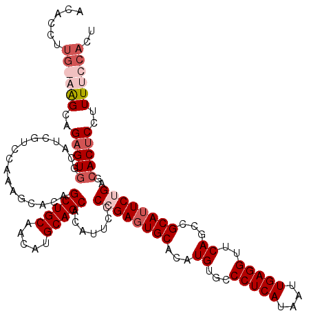 secondary structure