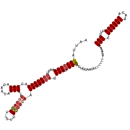 secondary structure