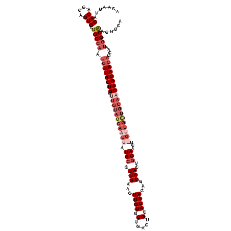 secondary structure