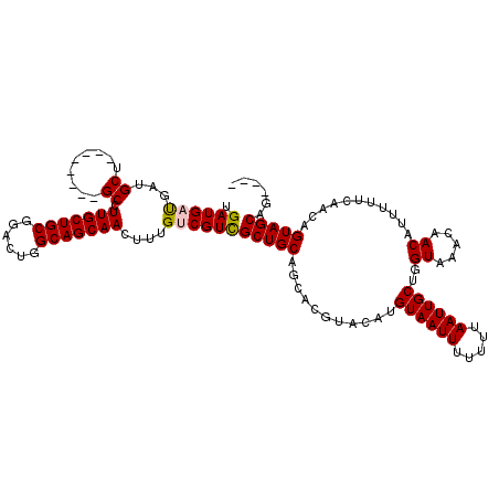secondary structure