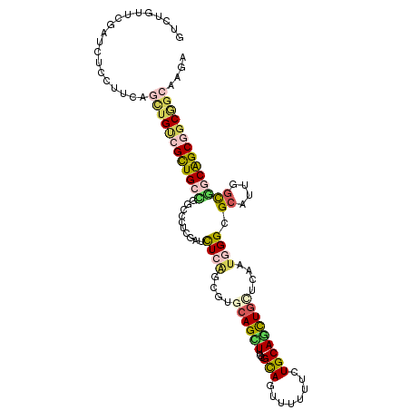 secondary structure