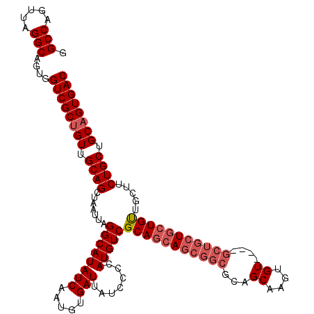 secondary structure