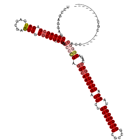 secondary structure