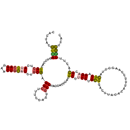 secondary structure
