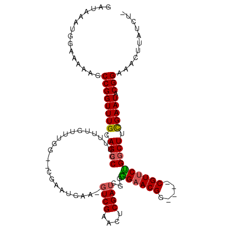 secondary structure