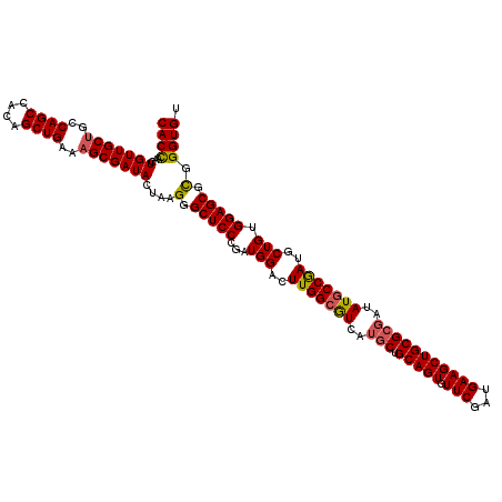 secondary structure