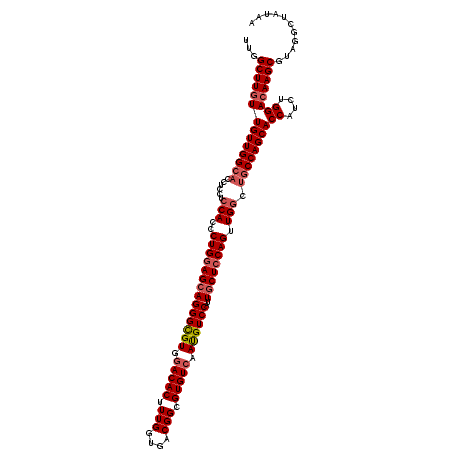 secondary structure