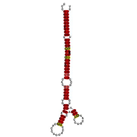 secondary structure