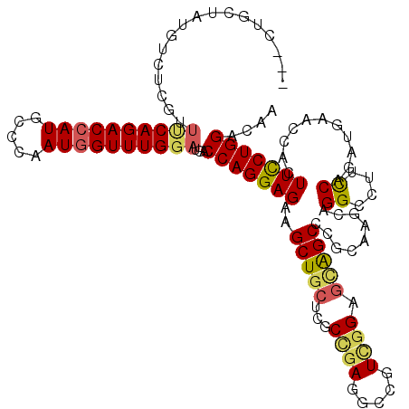 secondary structure