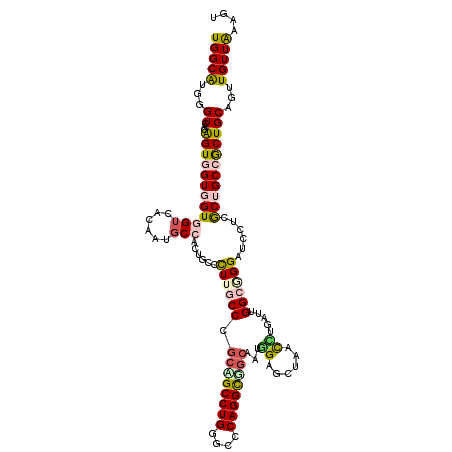 secondary structure