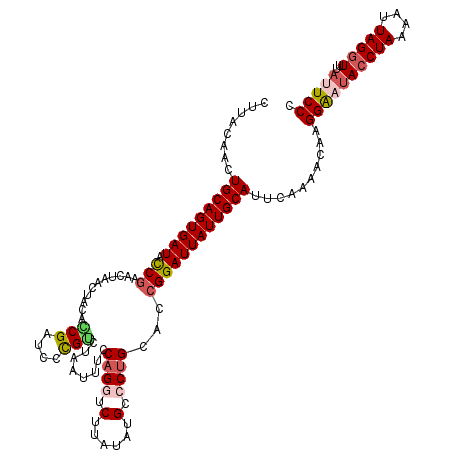 secondary structure