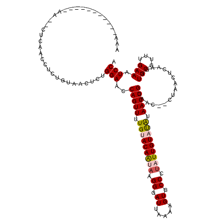 secondary structure